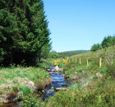 Mise en défens du cours d'eau - PNRML
